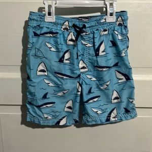 Boys Bathing Suit